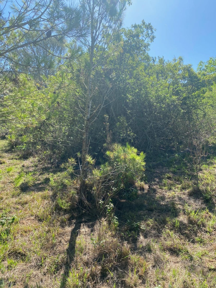 0 Bedroom Property for Sale in Bathurst Eastern Cape